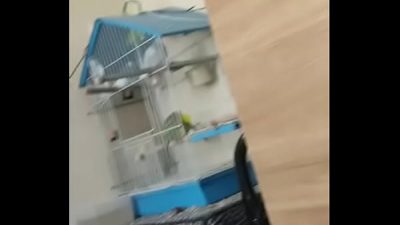 Alface pego na rapidinha com uma piriquita gostosa demais muito linda
