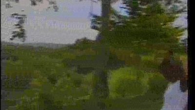 Into Africa Part 1