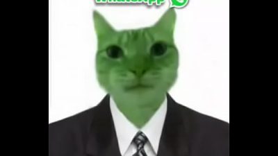 Hay un gato verde y arriba dice WhatsApp osea la cosa mas épica del mundo