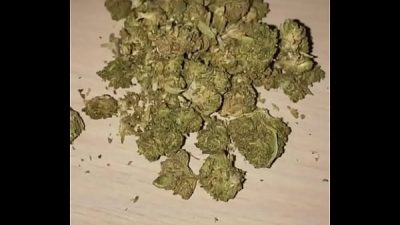Hazelnutxxx